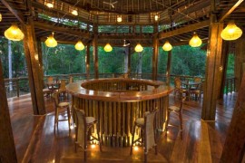 Treehouse home bar idea for nature lovers!