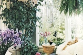 Light and airy plant-filled room