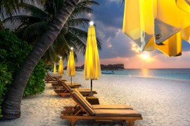 NI Parasol on the Beach