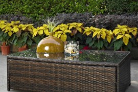 Palm Collection Wicker and Glass Table