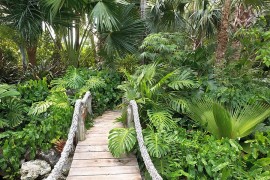 Suspension style bridge with rope is perfect for that fabulous tropical backyard