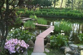 Zigzag bridge steals teh show in the Japanese garden