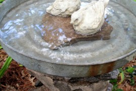 birdbath stone 2