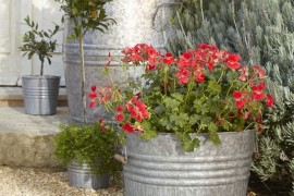 Smart, modern planters come in various shapes, sizes and materials