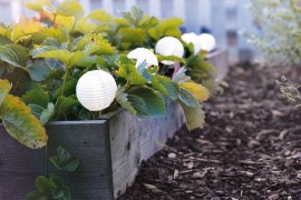 Ikea outdoor solar lanterns