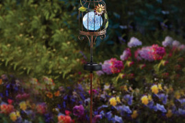 Solar-powered bird cage