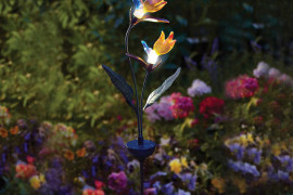 Solar-powered birds of paradise