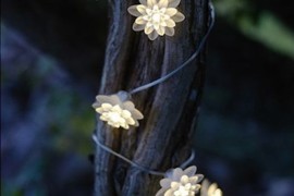 Solar powered white flowers on tree