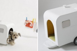 Tiny caravan doghouse