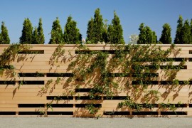 Garden privacy fence that celebrates plants