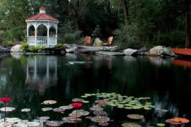 Gazebo by a lily pond