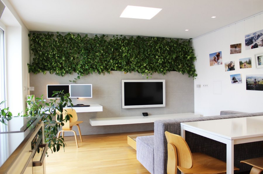 Home office with a vertical wall of plants
