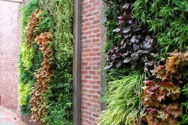 Living walls filled with perennials