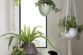 Modern planters from CB2