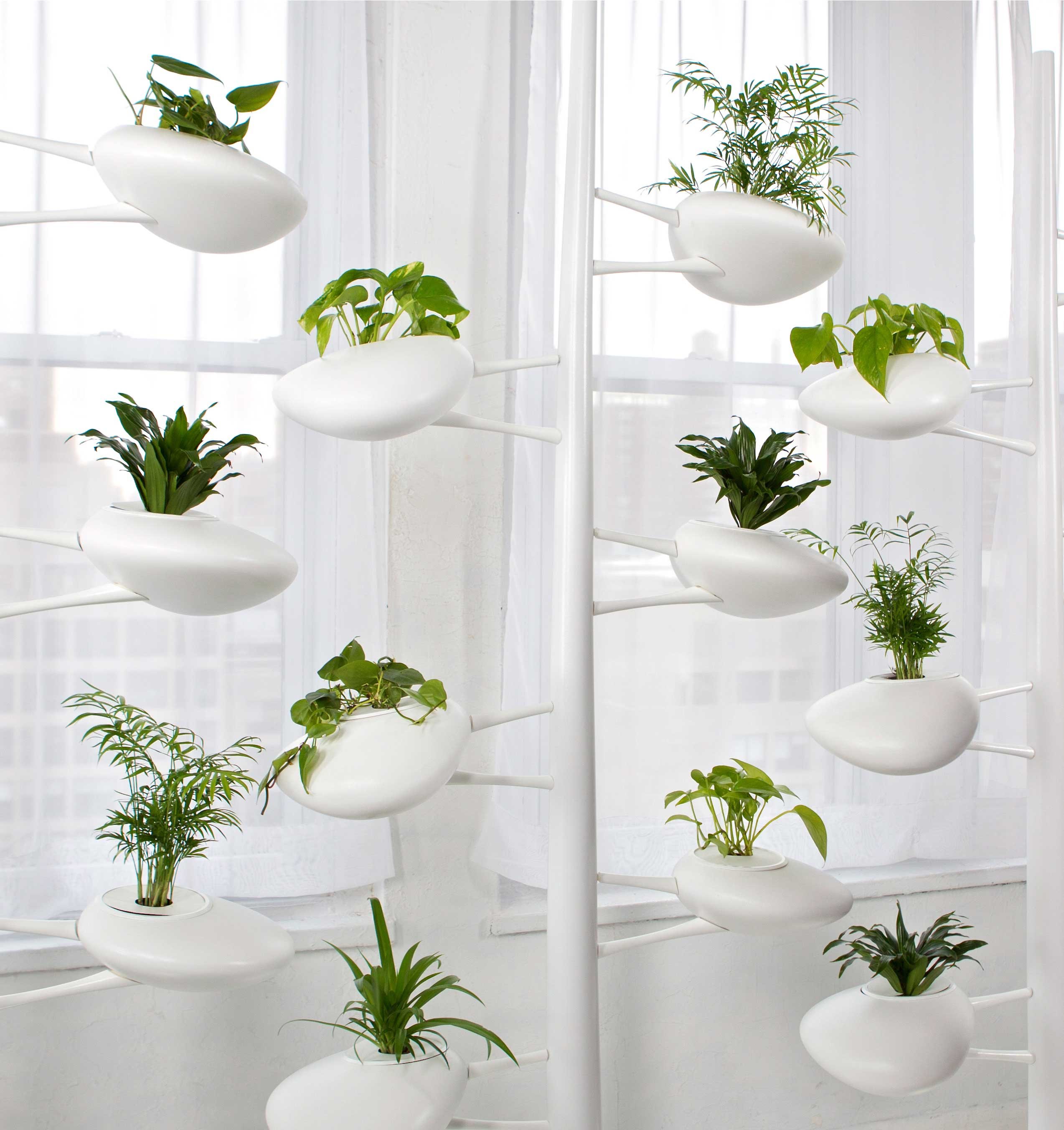 Modern pod-like hydroponic garden