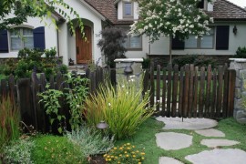 Natchez Crape Myrtle in front of a charming cottage
