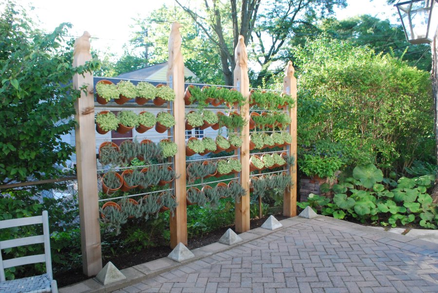 Unique Privacy Plantings Screens for Small Space