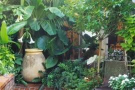 Running bond brick pattern for a plant-filled patio