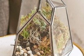 Smoked glass terrarium from Urban Outfitters