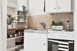 Tiny kitchen idea of the ultra-small Scandinavian style apartment