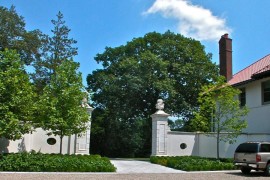 Tulip trees in a charming gravel garden