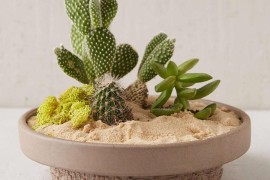 Unique planter from Urban Outfitters