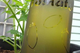 Upcycled Wine Bottle Plant Waterer