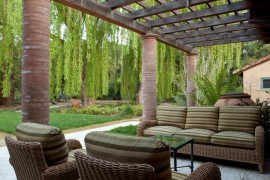 Weeping willow beside an outdoor patio