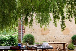 Weeping willow over an outdoor dining area