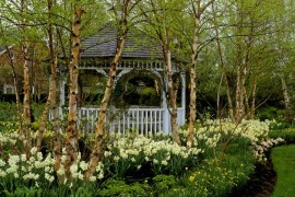 White traditional gazebo in the trees