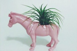 Zebra planter in pastel pink