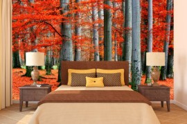 Colorful Autumn forest wall mural adds orange to the bedroom