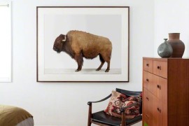 The Animal Print Shop by Sharon Montrose.