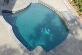 Cement deck around the fish-shaped pool