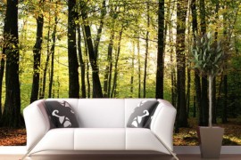 Exciting Spring or summer-themed forest wall mural