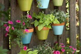 herb garden 3