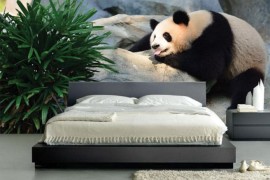 Lighting adds to the magic of the Panda Wall Mural