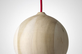 Acorn in tulipwood