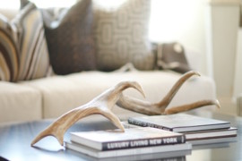 Antlers placed on coffee table