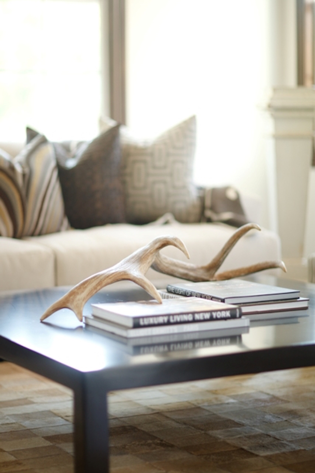 Antlers placed on coffee table
