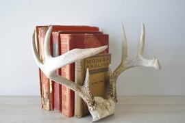 Antlers used as book ends