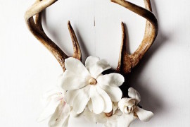 Antlers with flowers used as wall art