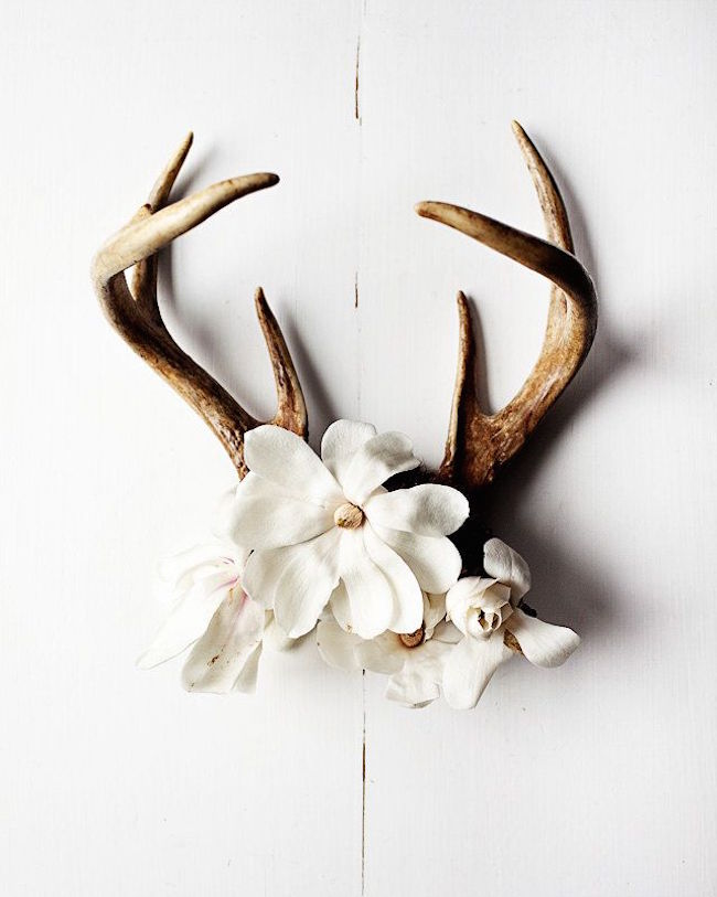 Antlers with flowers used as wall art