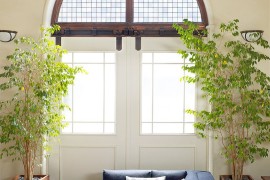 Comfy sectional and greenery create a refreshing ambiance indoors [Design: Kristina Wolf Design]