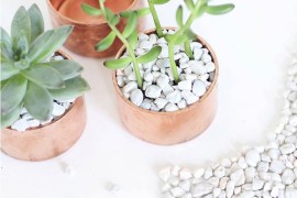 Copper cap succulent planter from I Spy DIY