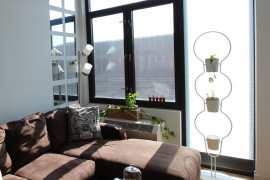 Large Picture Window