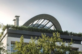 Small attic apartment in Sofia surrounded by a wall of greenery