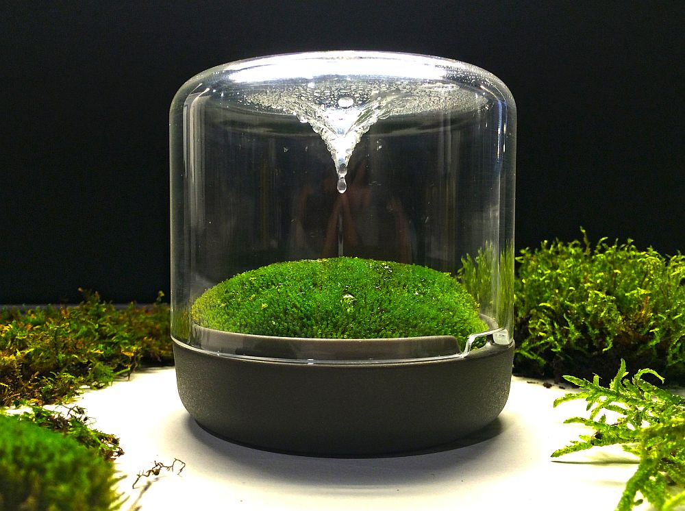 A mini ecosystem that adds moss green to your home