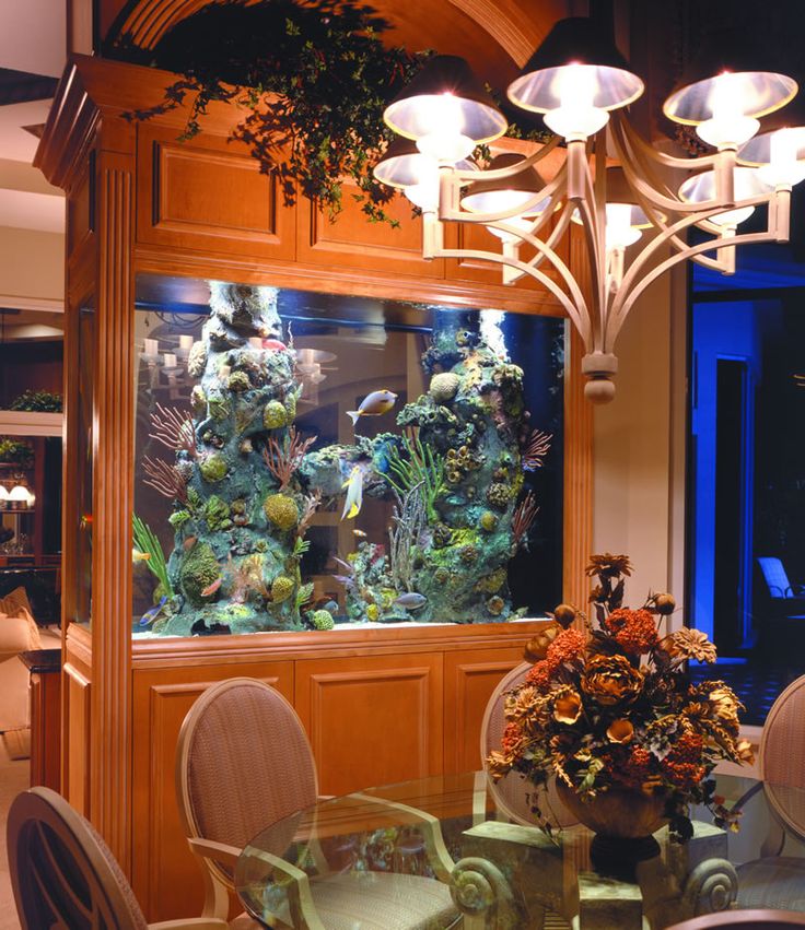8 Extremely Interesting Places to Put an Aquarium in Your Home