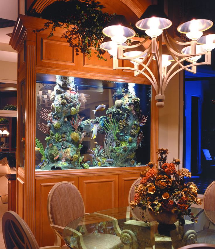 Simple Fish Tank In Living Room 